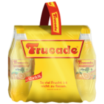 Frucade Orange Flasche PET EW 0,5x12 Tray